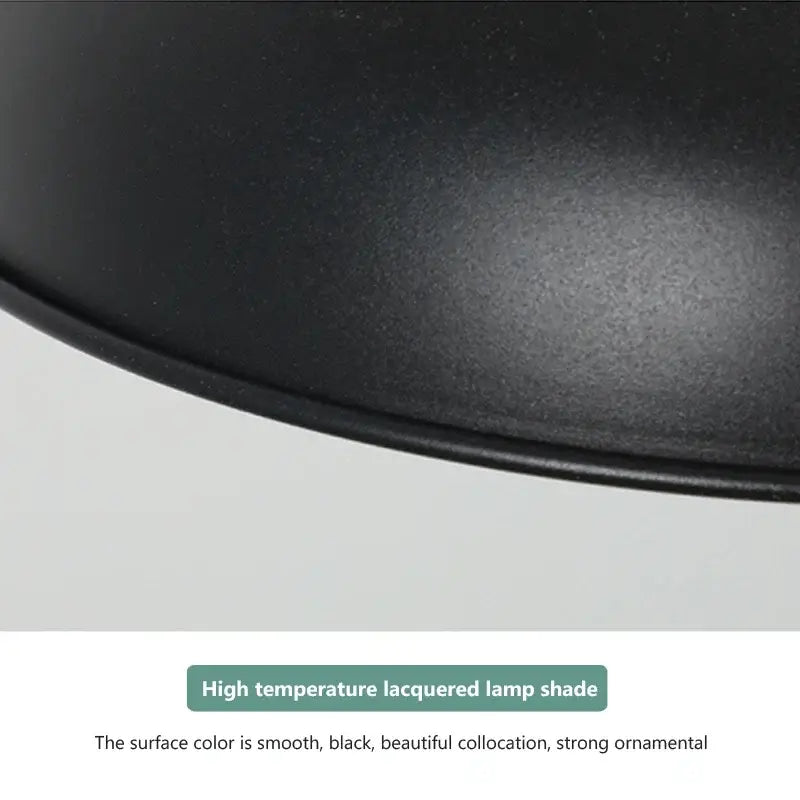 Industrial black matte electric food heating pendant light kitchen