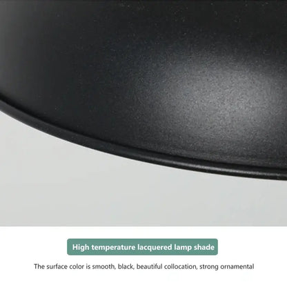 Industrial black matte electric food heating pendant light kitchen