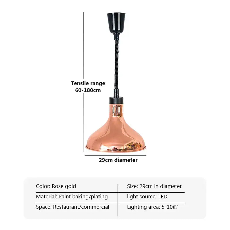 Industrial copper electric telescopic food heat pendant light kitchen