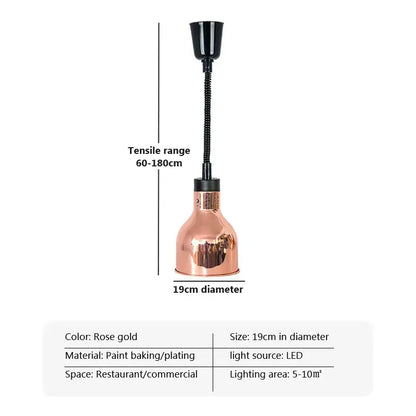 Industrial copper electric telescopic food heat pendant light kitchen