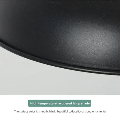 Industrial matte black electric food heat preservation lamp kitchen