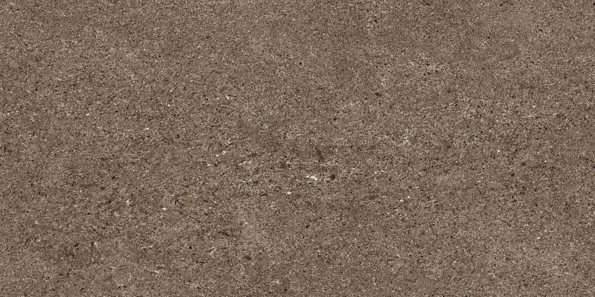 Infinity Earth Stone Look Porcelain Tiles 12x24