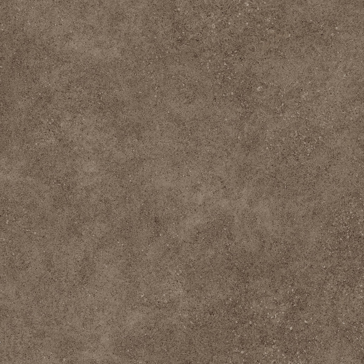 Infinity Earth Stone Look Porcelain Tiles 24x24