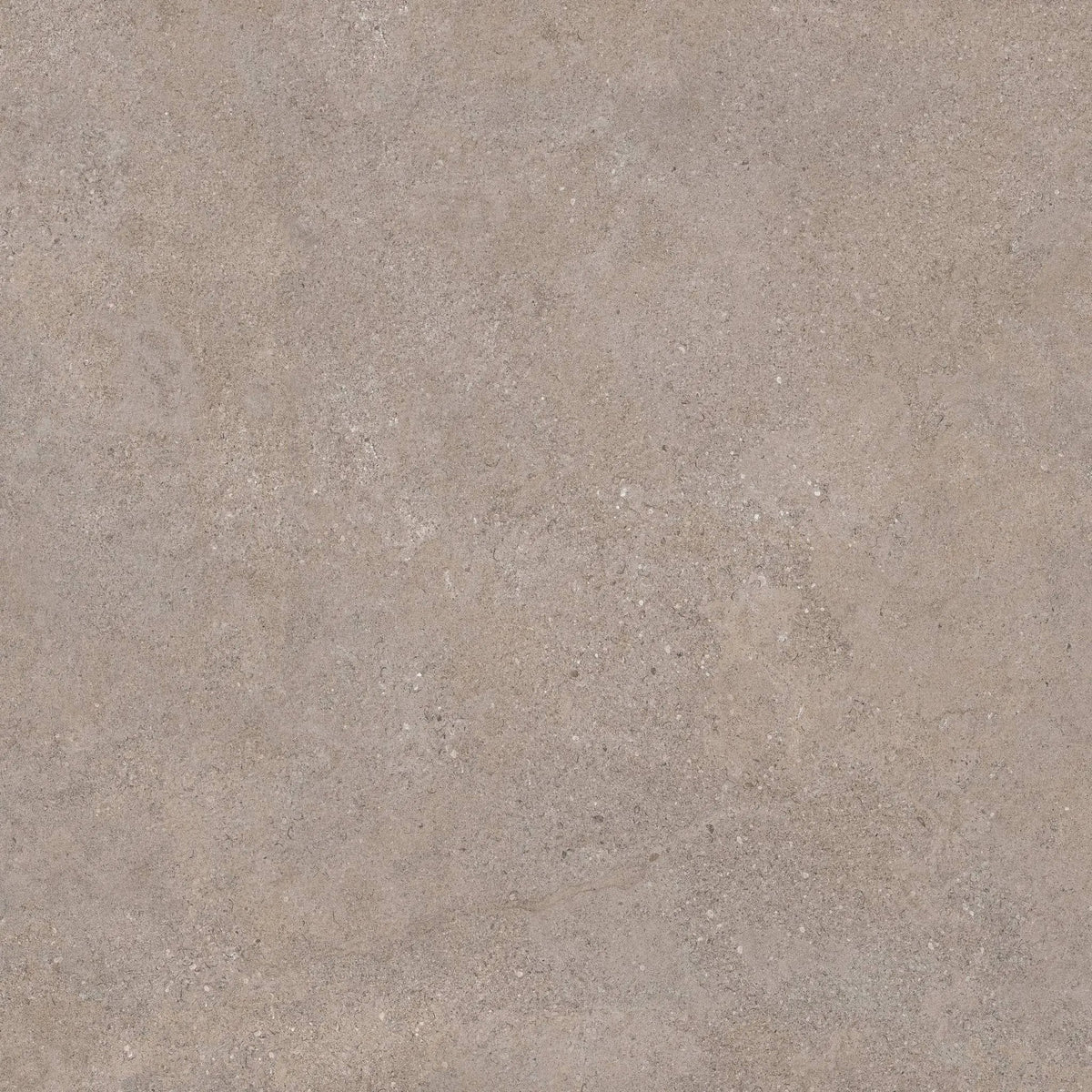 Infinity Space Stone Look Porcelain Tiles 24x24