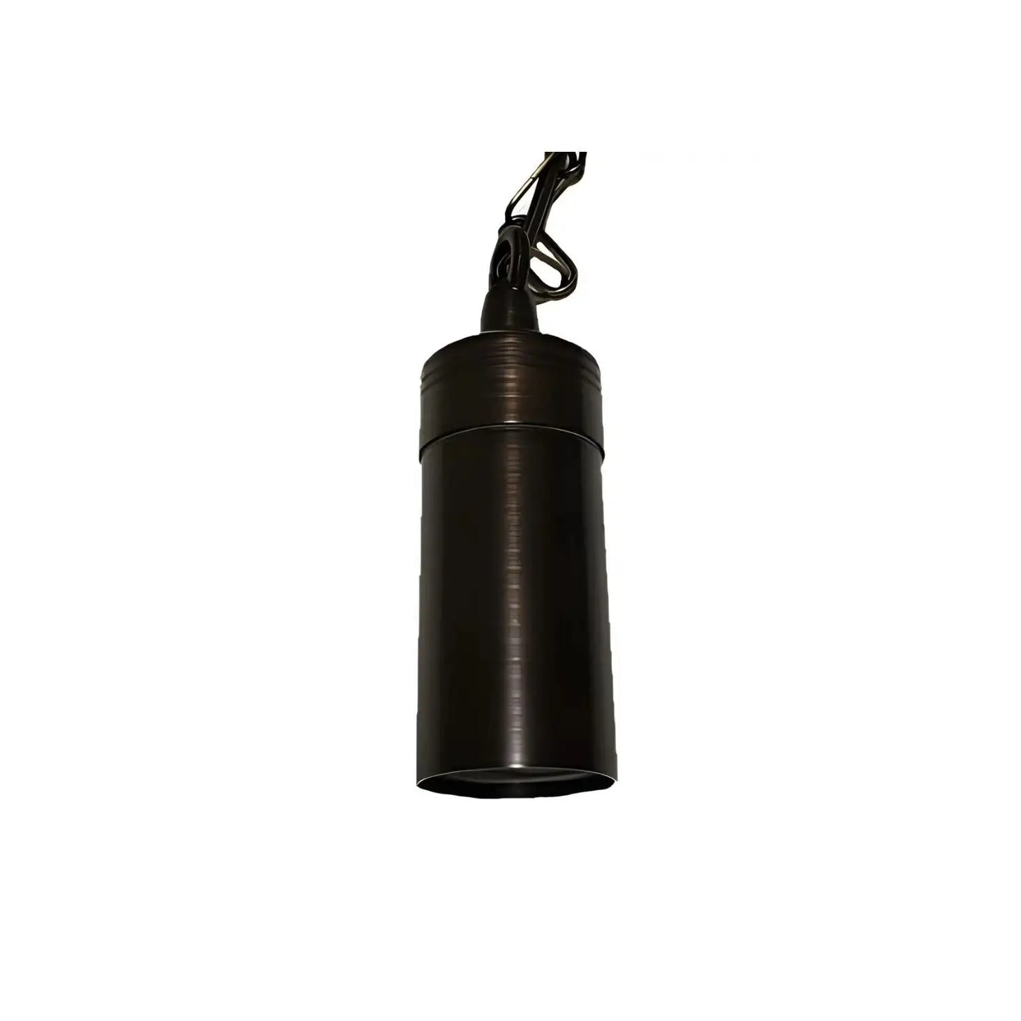 Oil-Rubbed Bronze Outdoor Hanging Light Fixture - LED and Halogen Compatible
