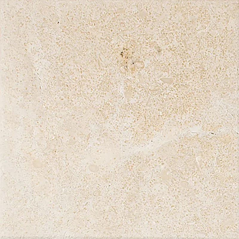Jerusalem Honed Limestone Tiles 4x4