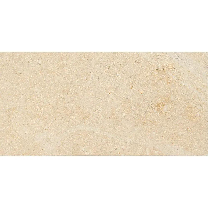 Jerusalem Light Honed Limestone Tiles 2 3/4x5 1/2