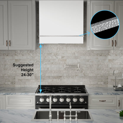 Akicon 30" Stainless Steel Wall Mount Range Hood with 600 CFM Vent Hood