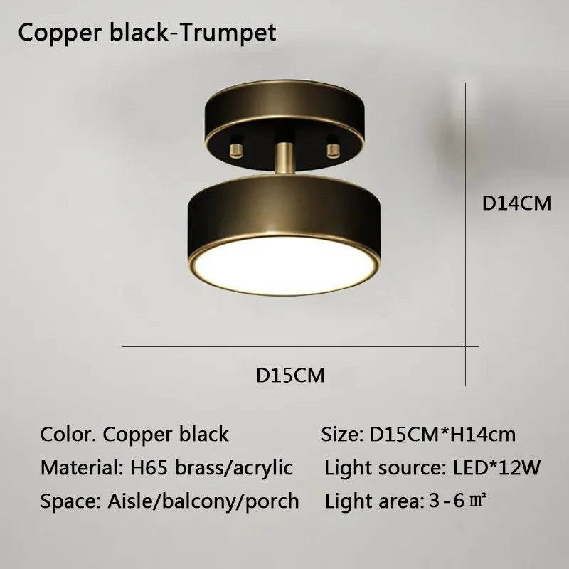 DecorBites™ LED Ceiling Light for Bedroom and Living Room