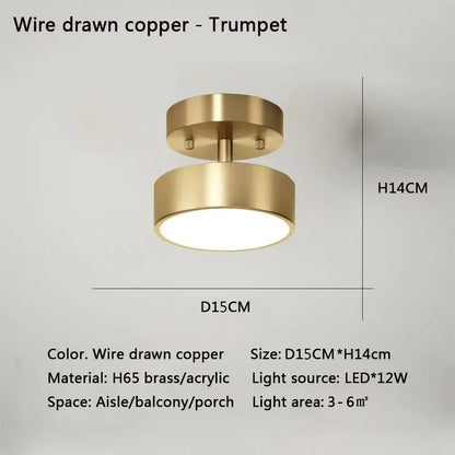 DecorBites™ LED Ceiling Light for Bedroom and Living Room