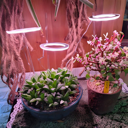 LED Grow Light Full Spectrum Angel Ring USB Lamp for Indoor Plants