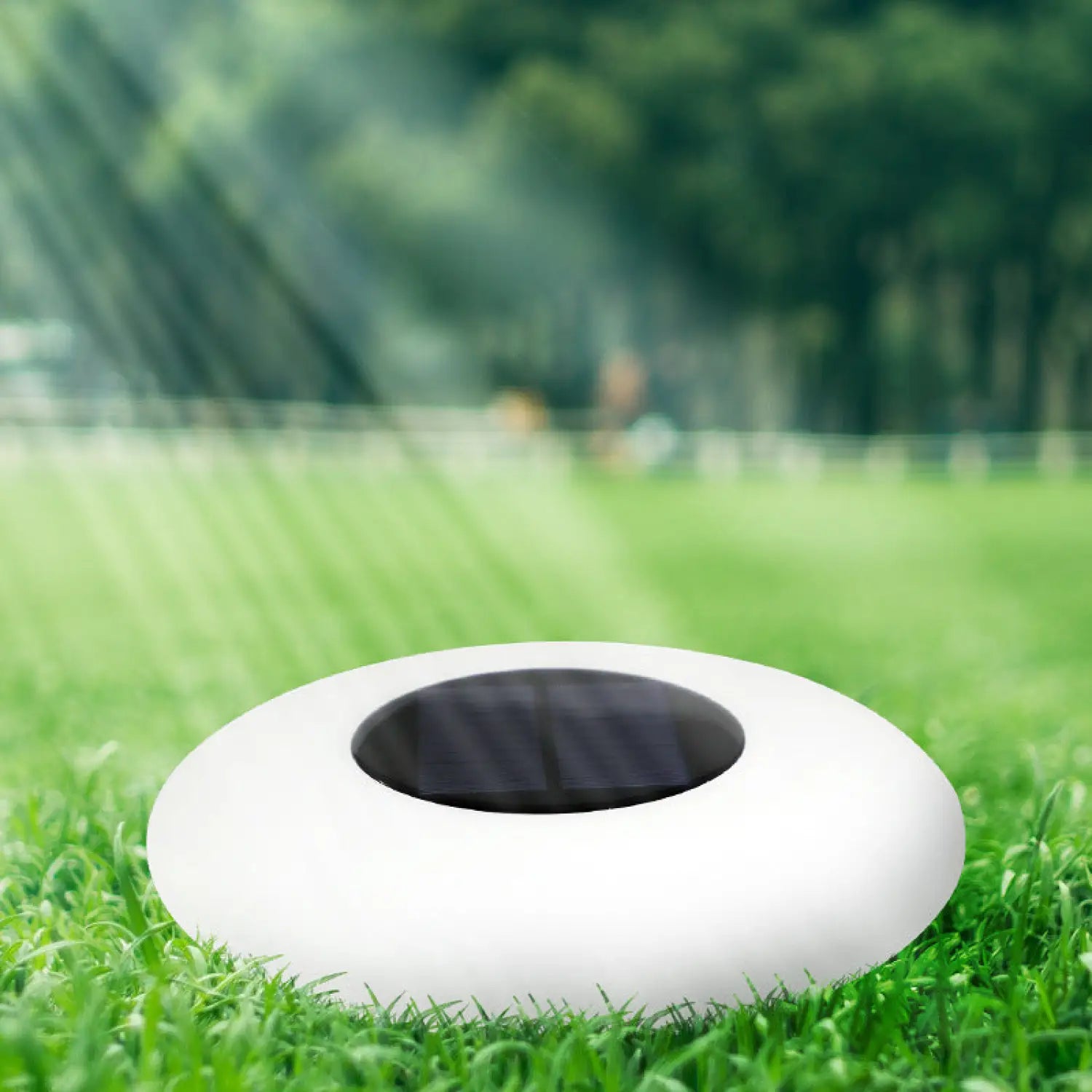 LED Solar Outdoor Waterproof Lights