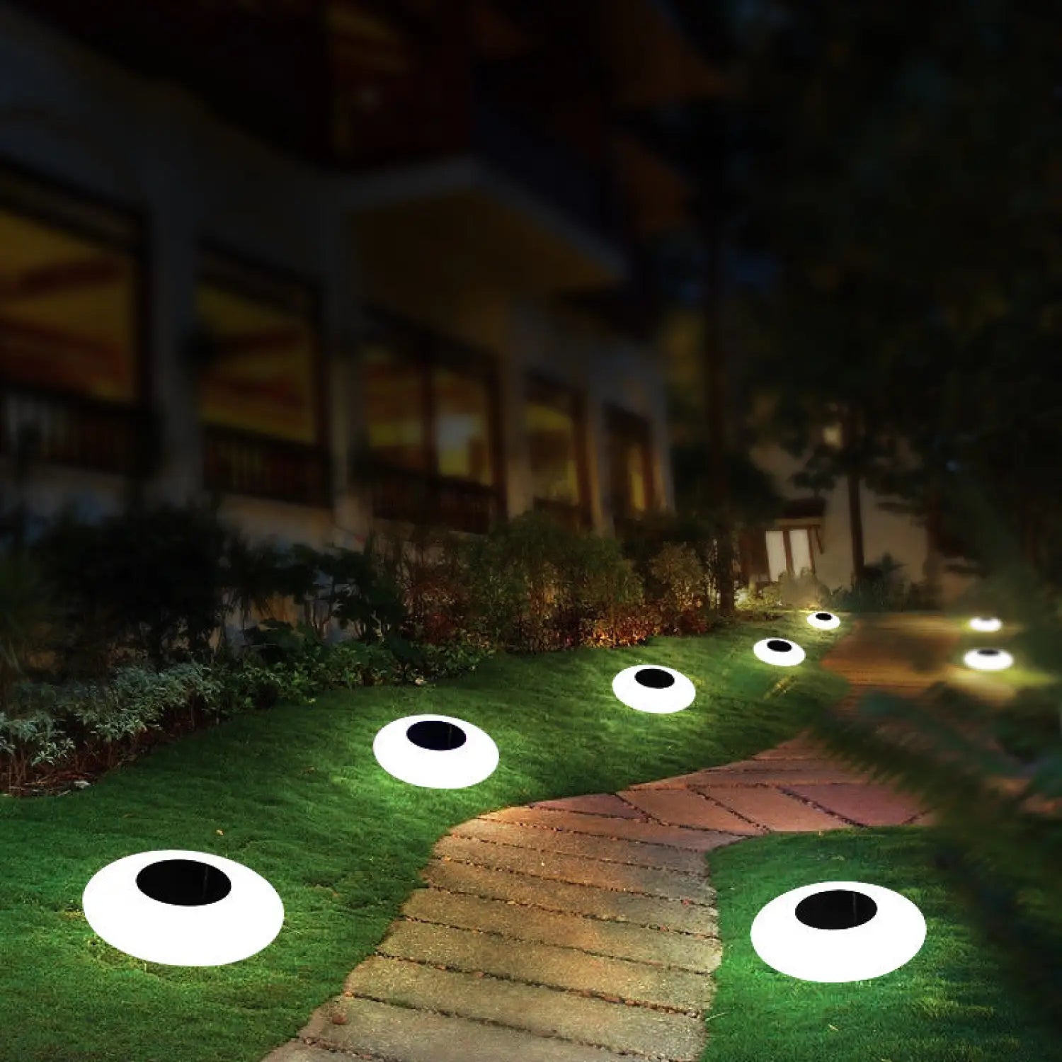 LED Solar Outdoor Waterproof Lights