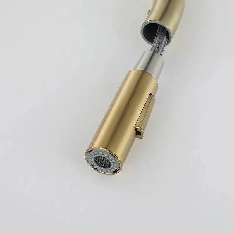 Luxury brushed gold pull out kitchen faucet with textured finish