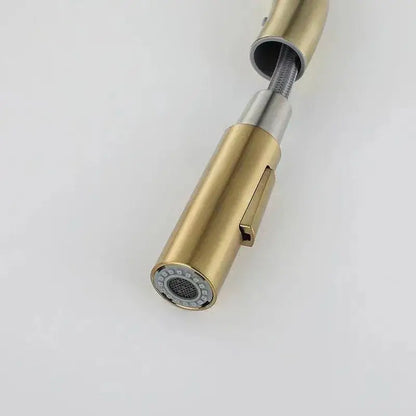 Luxury brushed gold pull out kitchen faucet with textured finish