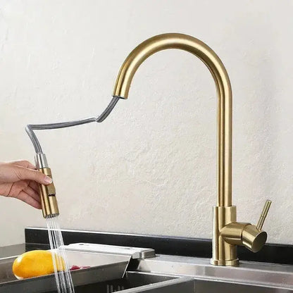 Luxury brushed gold pull out kitchen faucet with textured finish