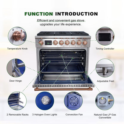 36” Freestanding Gas Range with 6 Sealed Burners Cooktop, Natural Gas/LP Convertible - AK-G36N05A-BS