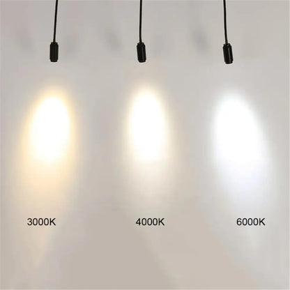 Matte black adjustable beam track light for store task lighting