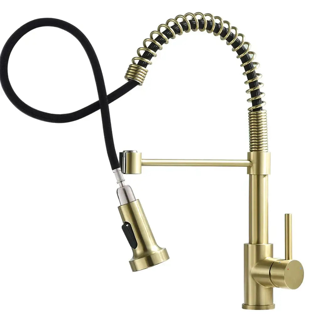Matte black and brass kitchen faucet with pull out spring spout
