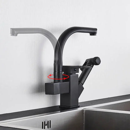 Matte black dual spout kitchen faucet with pull out spray mixer