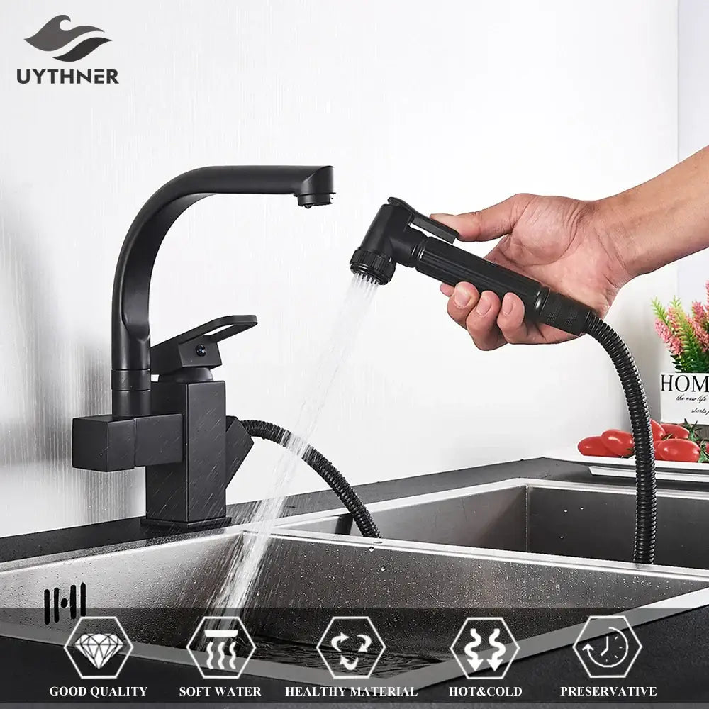 Matte black dual spout kitchen faucet with pull out spray mixer