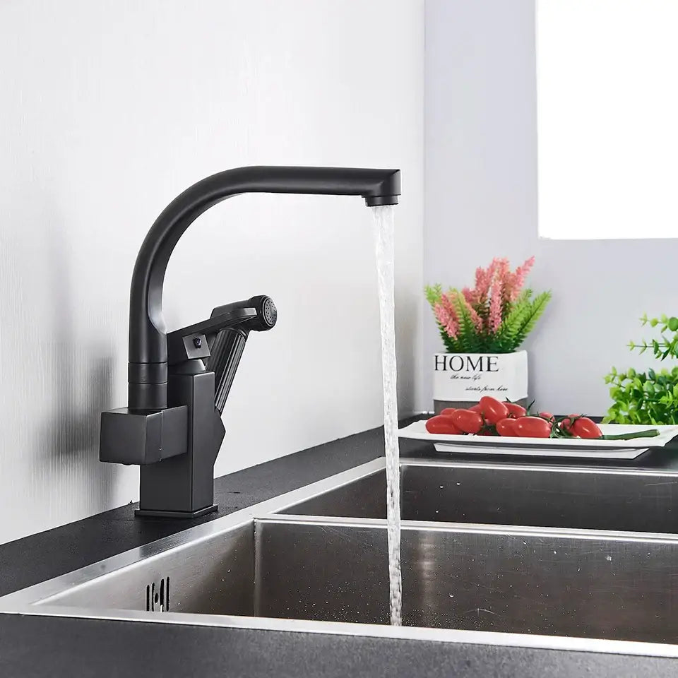 Matte black dual spout kitchen faucet with pull out spray mixer