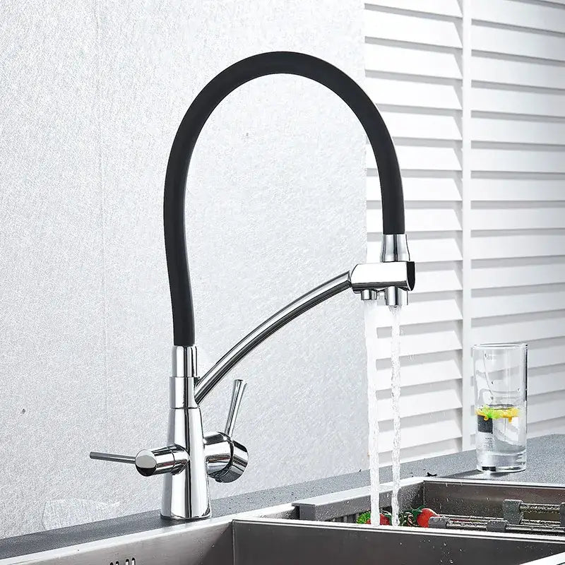 Matte black dual spout kitchen faucet with water purification