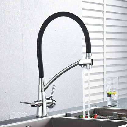 Matte black dual spout kitchen faucet with water purification