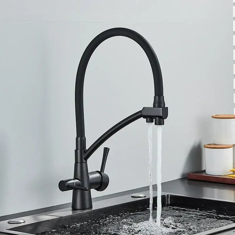 Matte black dual spout kitchen faucet with water purification