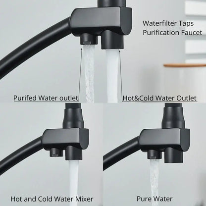 Matte black dual spout kitchen faucet with water purification