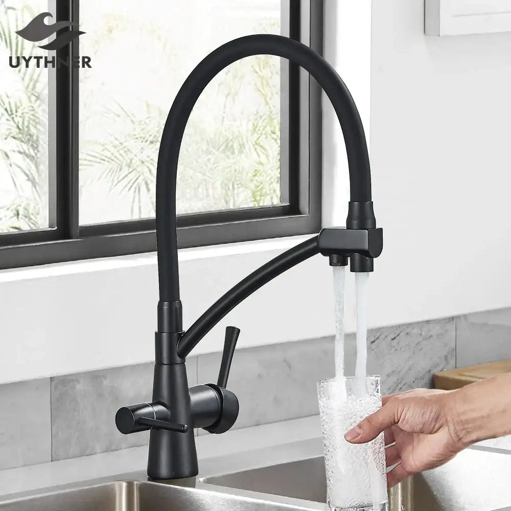 Matte black dual spout kitchen faucet with water purification