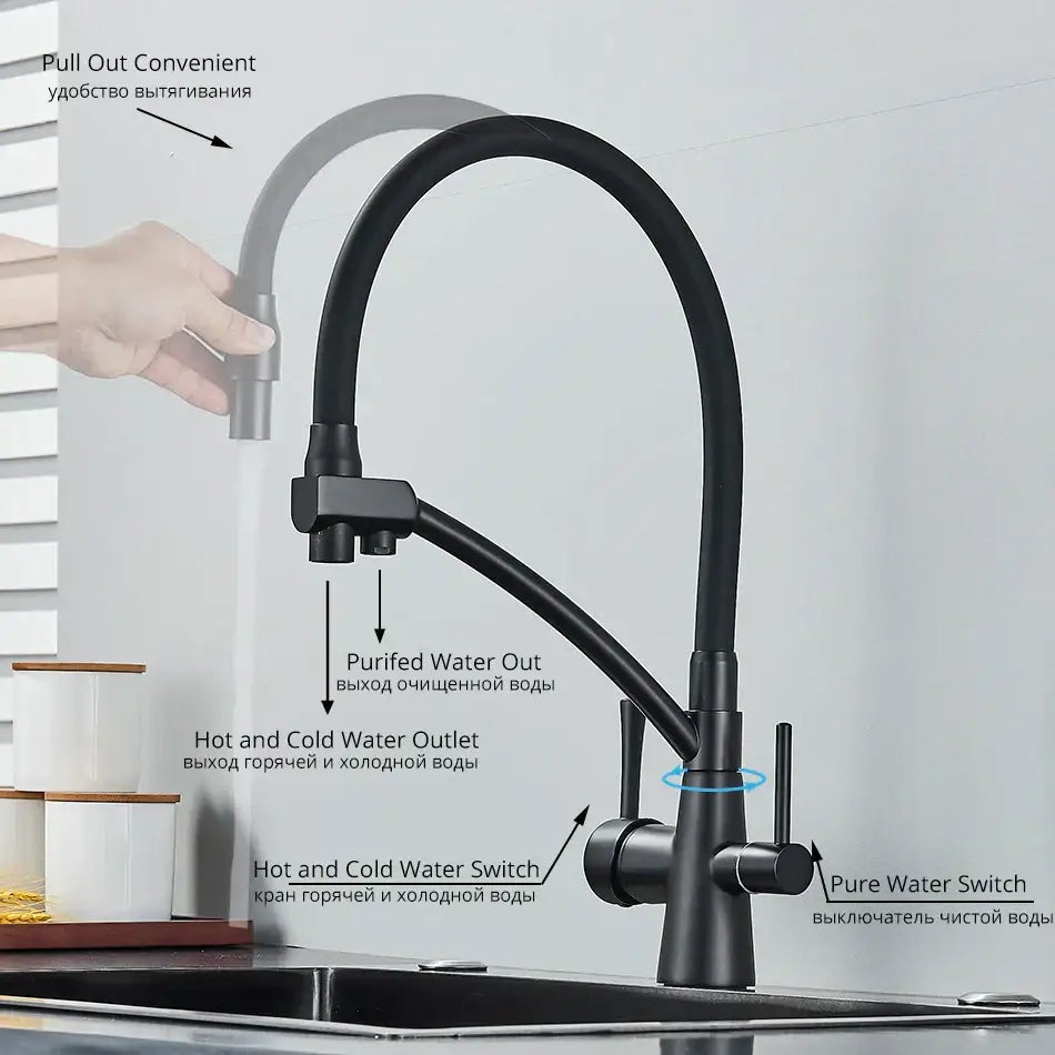 Matte black dual spout kitchen faucet with water purification