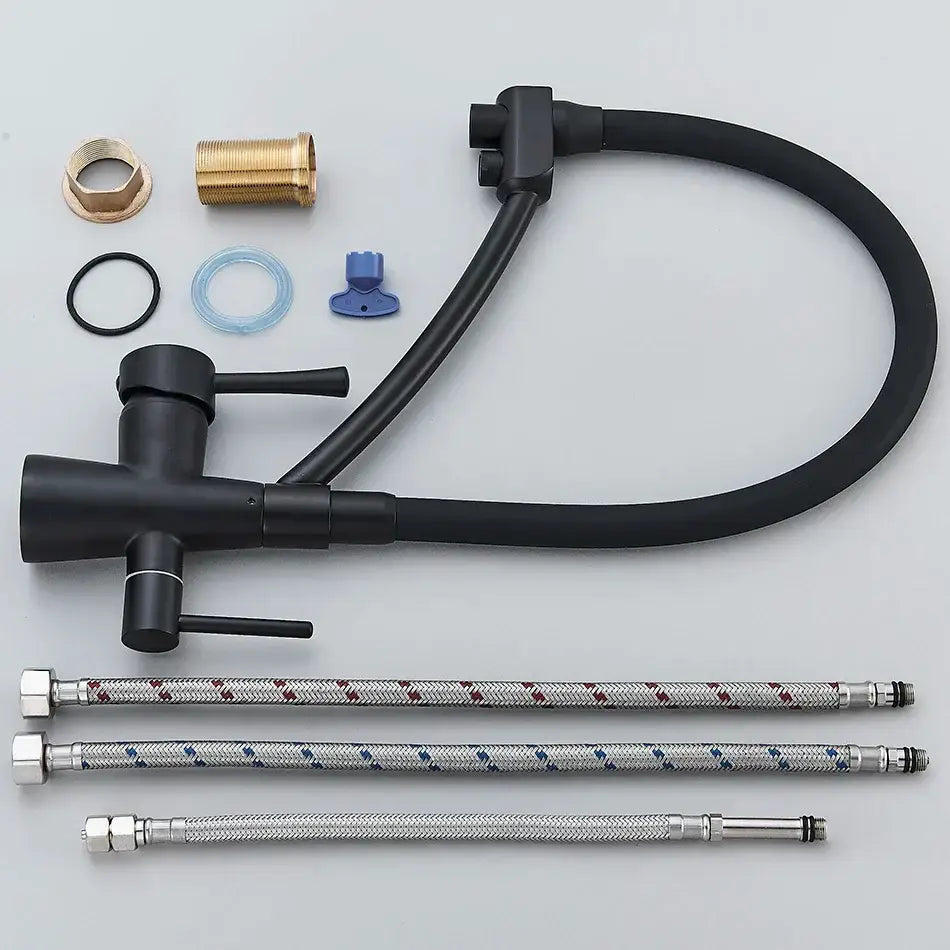 Matte black dual spout kitchen faucet with water purification