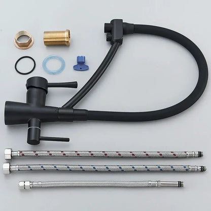Matte black dual spout kitchen faucet with water purification
