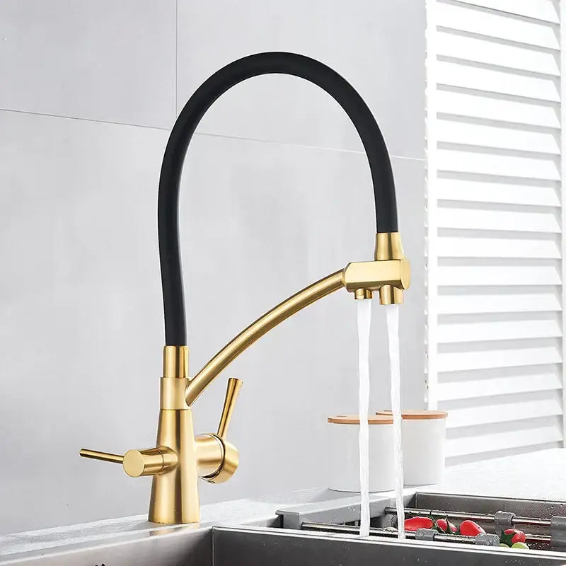 Matte black dual spout kitchen faucet with water purification