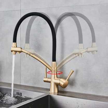 Matte black dual spout kitchen faucet with water purification