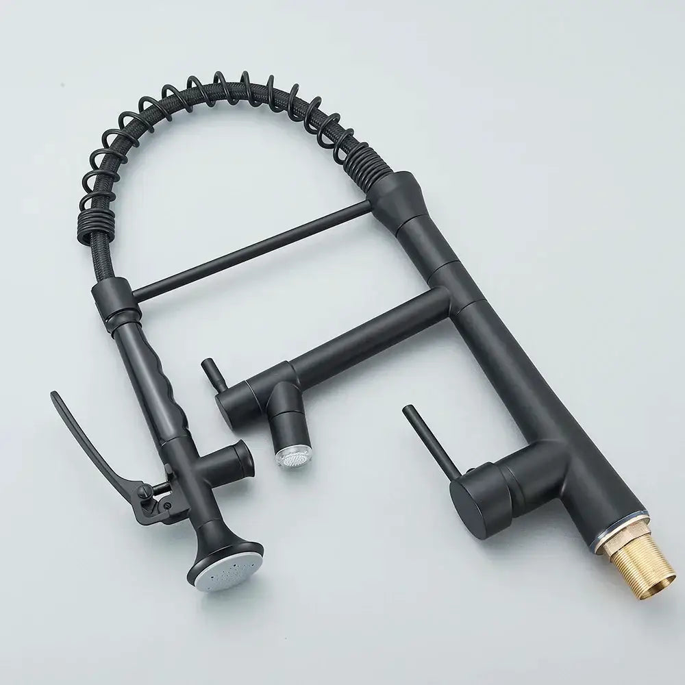 Matte black flexible led kitchen faucet with dual spout mixer