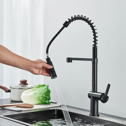 Matte black kitchen sink faucet with pull down spring sprayer