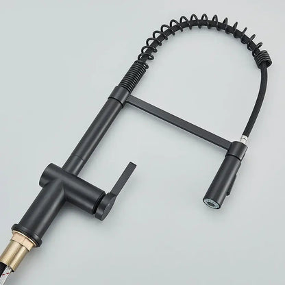 Matte black kitchen sink faucet with pull down spring sprayer