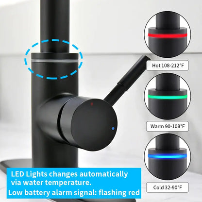 Matte black single handle pull down kitchen faucet swivel tap