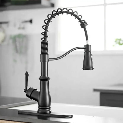 Matte black spring spout kitchen faucet with pull down hose