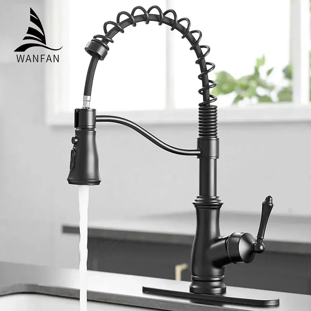Matte black spring spout kitchen faucet with pull down hose