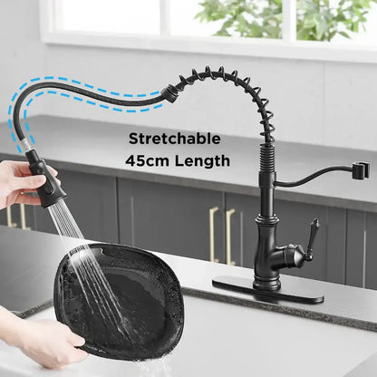 Matte black spring spout kitchen faucet with pull down hose