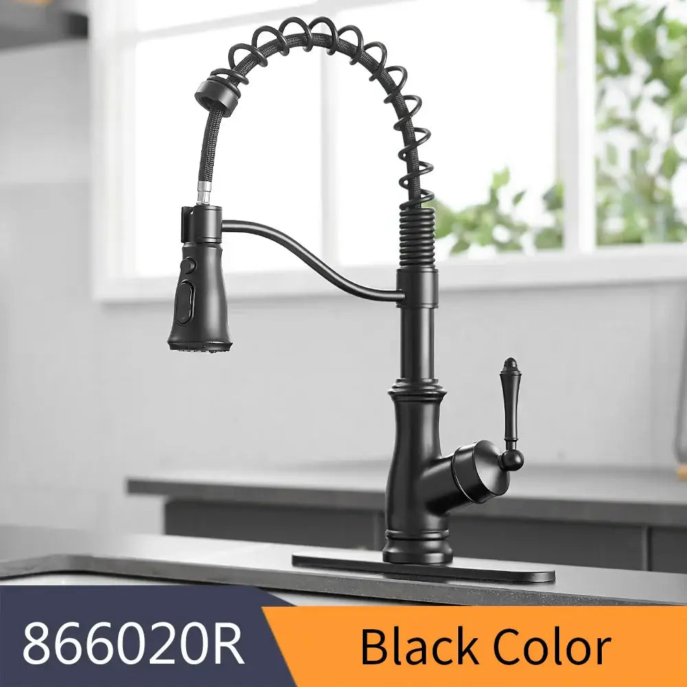 Matte black spring spout kitchen faucet with pull down hose