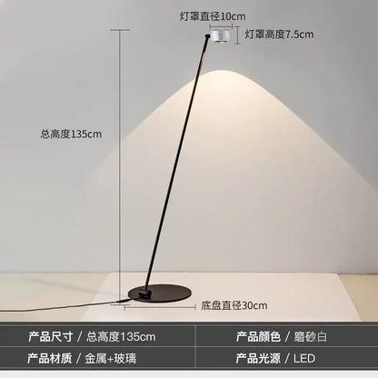 Minimalist black induction dimming floor lamp for living room