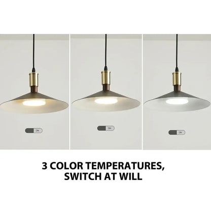 Minimalist gray and brass dimming pendant light for dining room