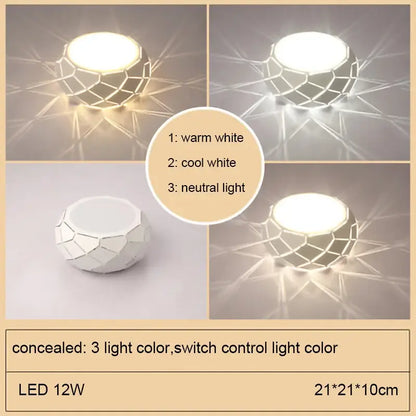 Minimalist metallic dimmable led ceiling light aisle cylinder lamp