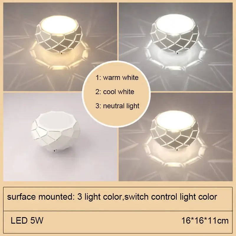 Minimalist metallic dimmable led ceiling light aisle cylinder lamp