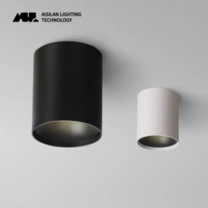 Minimalist white and black led ceiling light bathroom led