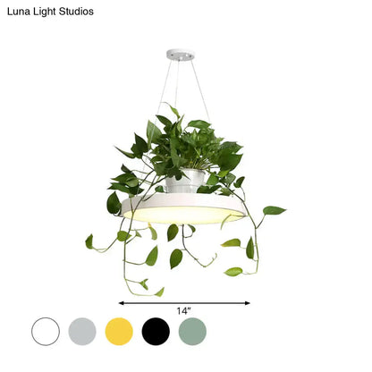 Mint green brooklyn round macaron pendant light with kitchen planter
